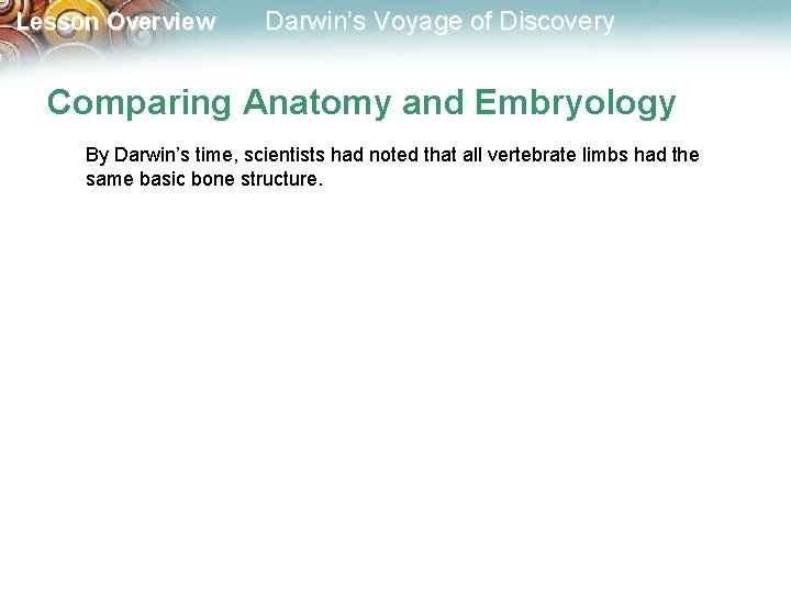 Lesson Overview Darwin’s Voyage of Discovery Comparing Anatomy and Embryology By Darwin’s time, scientists