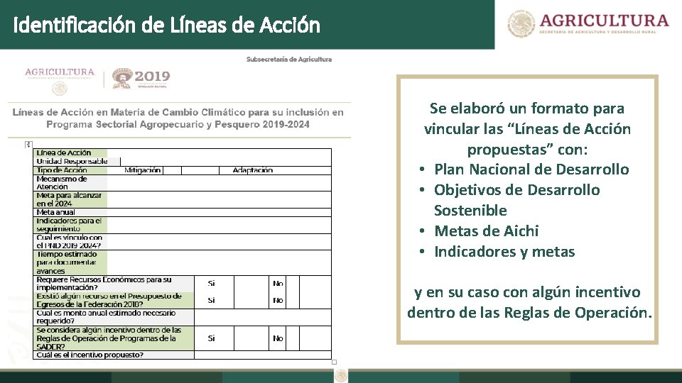 Identificación de Líneas de Acción Se elaboró un formato para vincular las “Líneas de
