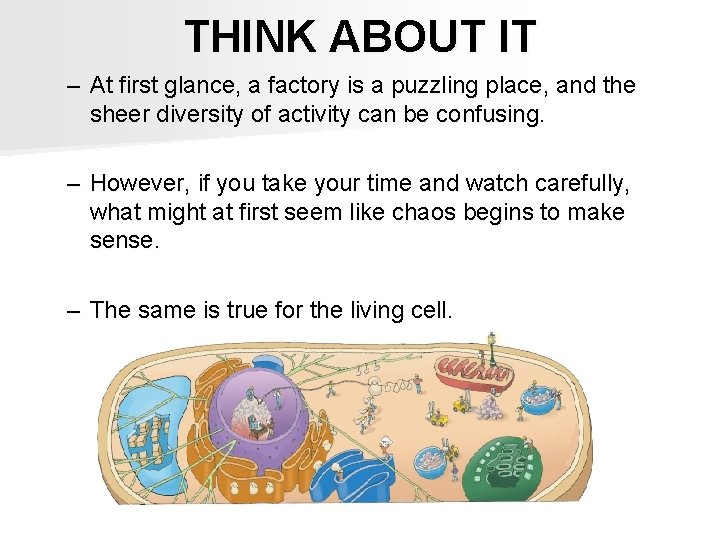 THINK ABOUT IT – At first glance, a factory is a puzzling place, and