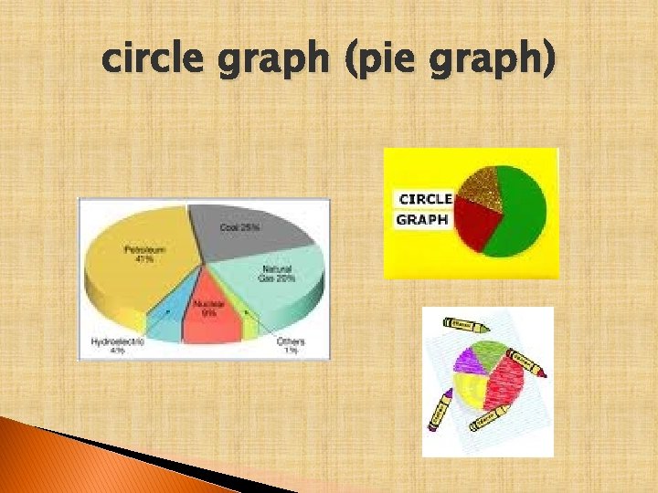 circle graph (pie graph) 