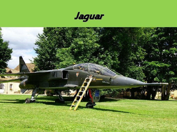 Jaguar 