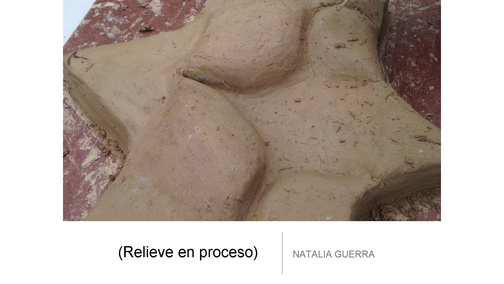 (Relieve en proceso) NATALIA GUERRA 