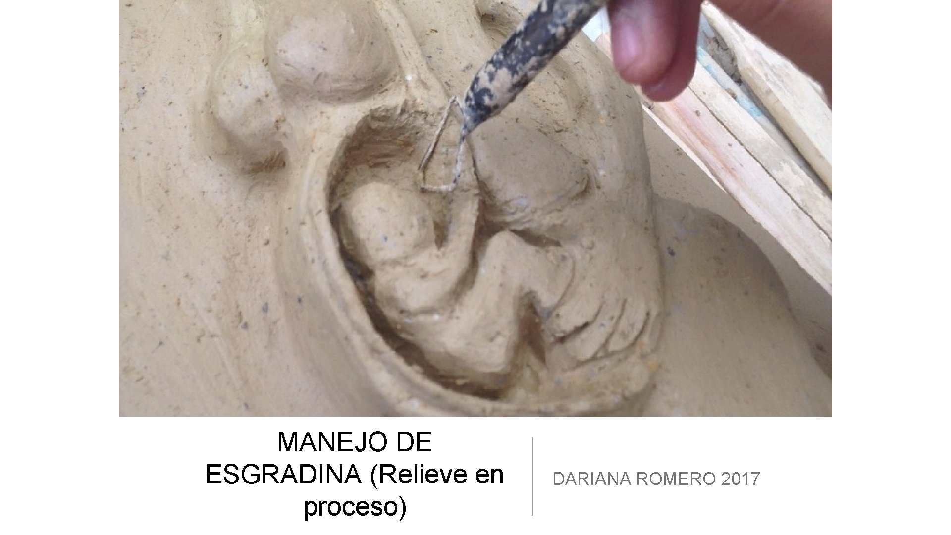 MANEJO DE ESGRADINA (Relieve en proceso) DARIANA ROMERO 2017 