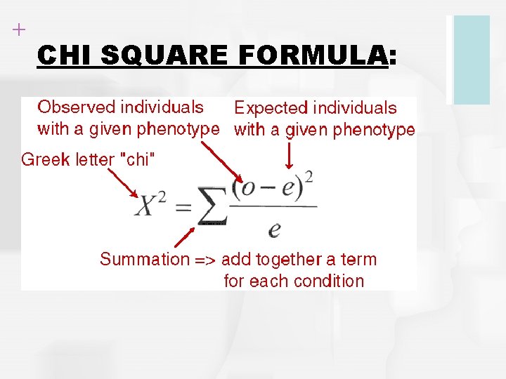 + CHI SQUARE FORMULA: 