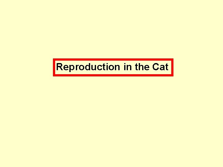 Reproduction in the Cat 