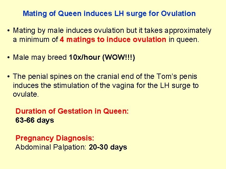 Mating of Queen induces LH surge for Ovulation • Mating by male induces ovulation