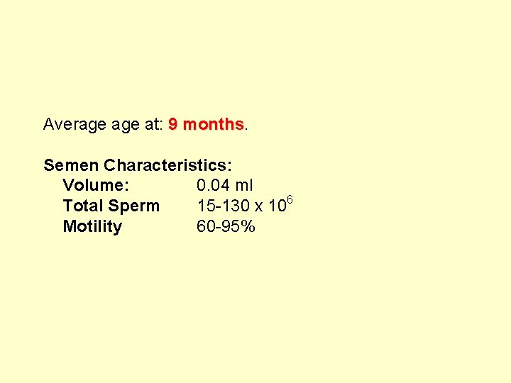 Average at: 9 months Semen Characteristics: Volume: 0. 04 ml Total Sperm 15 -130