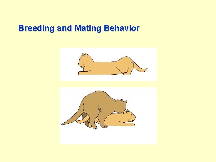 Breeding and Mating Behavior 