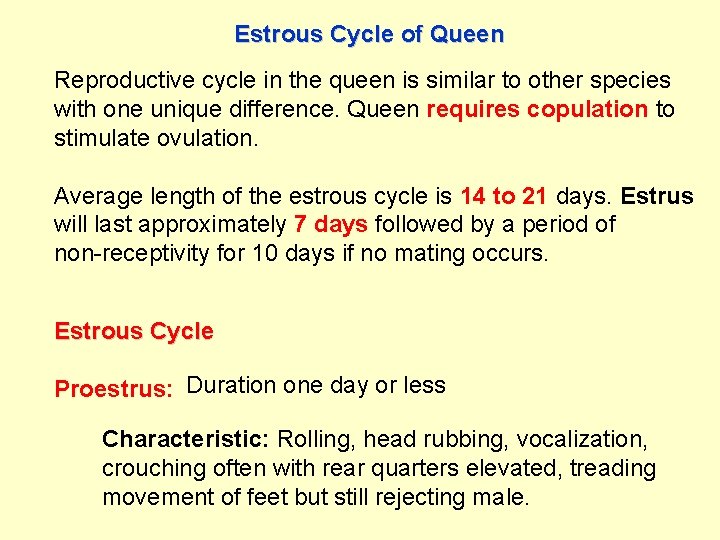 Estrous Cycle of Queen Reproductive cycle in the queen is similar to other species
