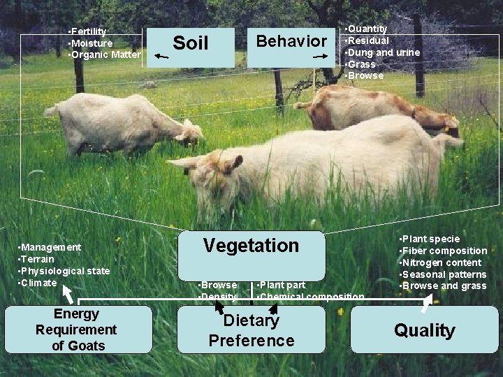  • Fertility • Moisture • Organic Matter • Management • Terrain • Physiological
