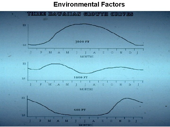 Environmental Factors 