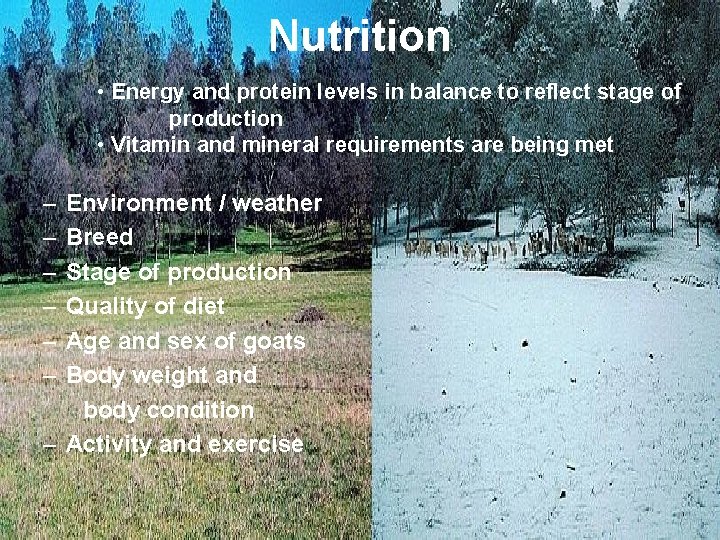Nutrition • Energy and protein levels in balance to reflect stage of production •