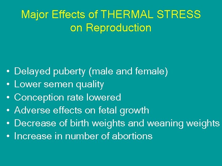 Major Effects of THERMAL STRESS on Reproduction • • • Delayed puberty (male and