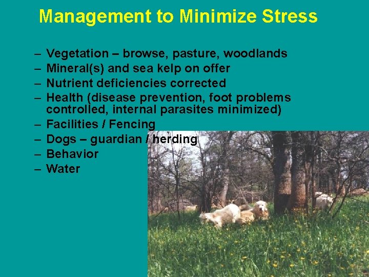 Management to Minimize Stress – – – – Vegetation – browse, pasture, woodlands Mineral(s)