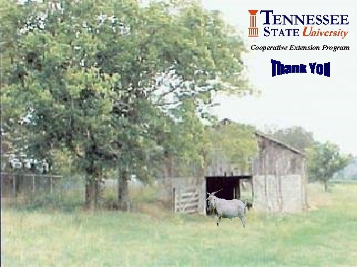 Cooperative Extension Program 