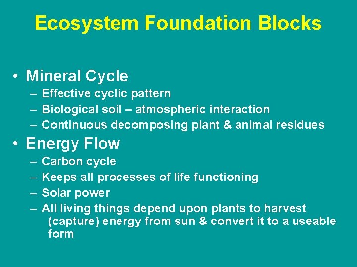 Ecosystem Foundation Blocks • Mineral Cycle – Effective cyclic pattern – Biological soil –