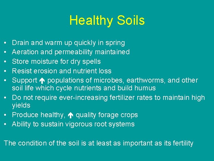 Healthy Soils • • • Drain and warm up quickly in spring Aeration and