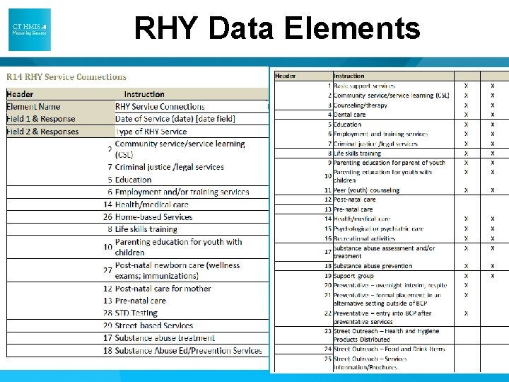RHY Data Elements RHY Data Elements