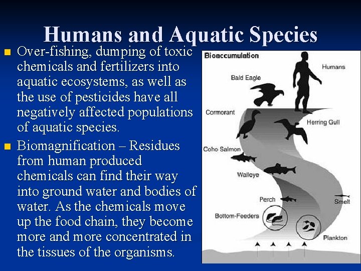 n n Humans and Aquatic Species Over-fishing, dumping of toxic chemicals and fertilizers into n n Humans and Aquatic Species Over-fishing, dumping of toxic chemicals and fertilizers into