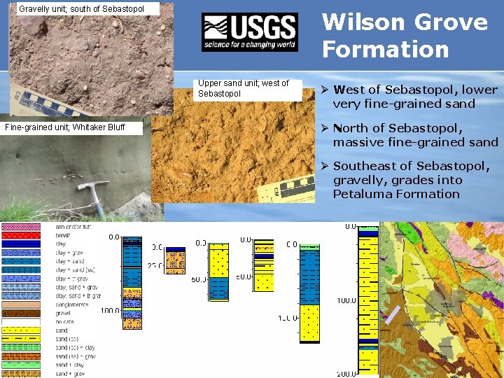 Gravelly unit; south of Sebastopol Wilson Grove Formation Upper sand unit; west of Sebastopol