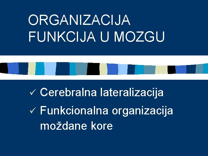 ORGANIZACIJA FUNKCIJA U MOZGU ü Cerebralna lateralizacija ü Funkcionalna organizacija moždane kore 