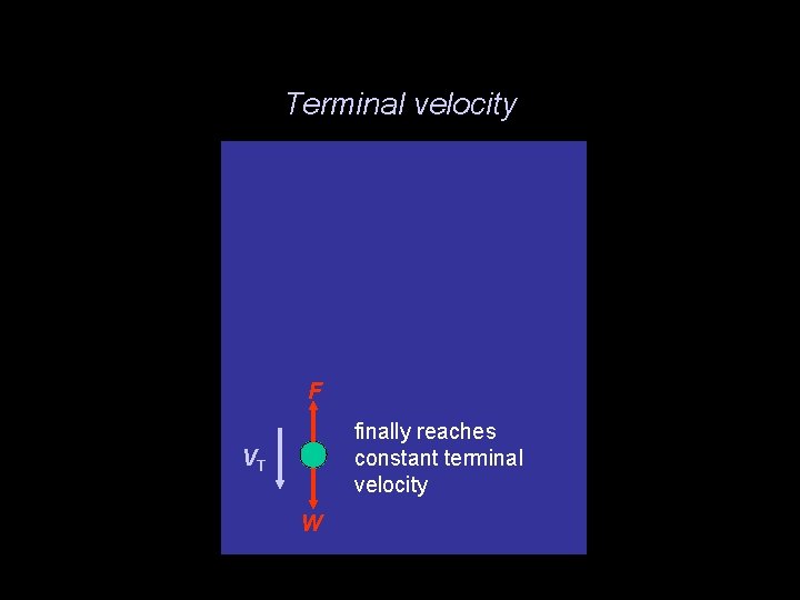 Terminal velocity release v F W VT W gathering speed gathering more speed finally