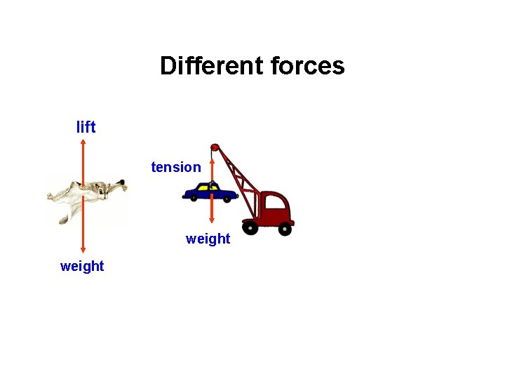 Different forces lift tension weight 