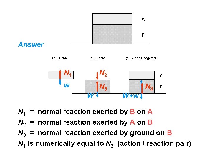 Answer N 1 N 2 w N 3 W+w N 1 = normal reaction