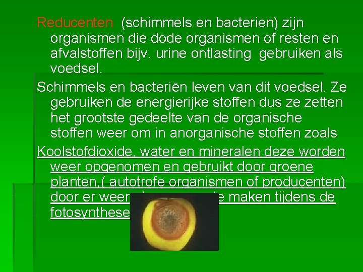 Reducenten (schimmels en bacterien) zijn organismen die dode organismen of resten en afvalstoffen bijv.