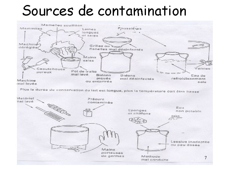 Sources de contamination Coliforme 7 