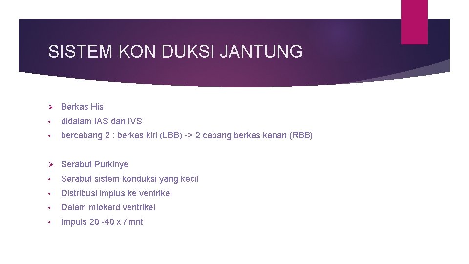 SISTEM KON DUKSI JANTUNG Ø Berkas His • didalam IAS dan IVS • bercabang