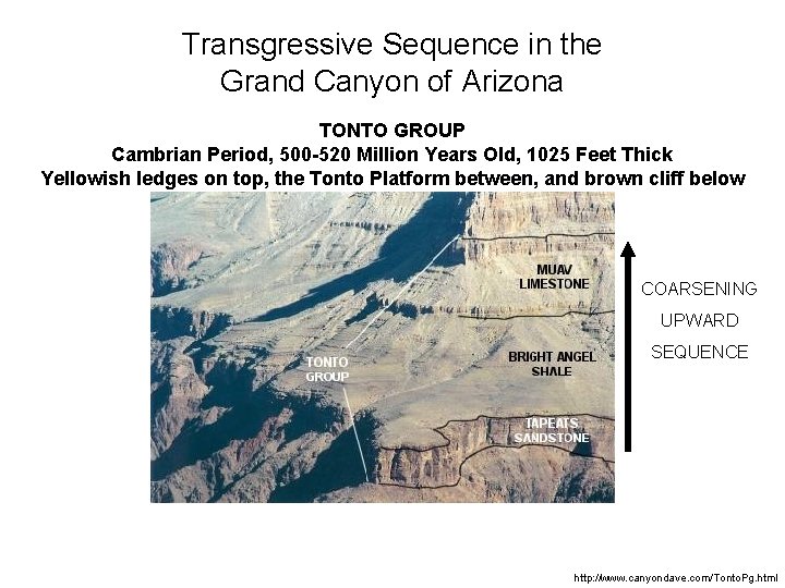 Transgressive Sequence in the Grand Canyon of Arizona TONTO GROUP Cambrian Period, 500 -520