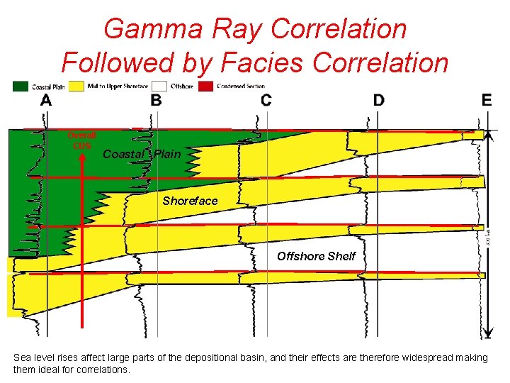 Gamma Ray Correlation Followed by Facies Correlation Overall CUS Coastal Plain Shoreface Offshore Shelf