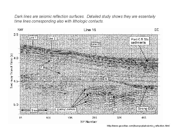 Dark lines are seismic reflection surfaces. Detailed study shows they are essentaily time lines