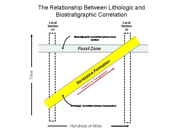 The Relationship Between Lithologic and Biostratigraphic Correlation Local Section #1 Local Section #2 Biostratigraphic