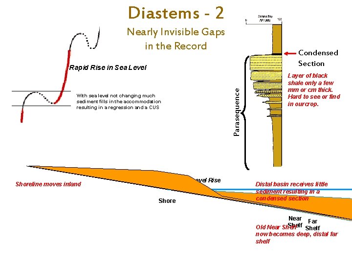 Diastems - 2 Nearly Invisible Gaps in the Record Condensed Section Parasequence Rapid Rise