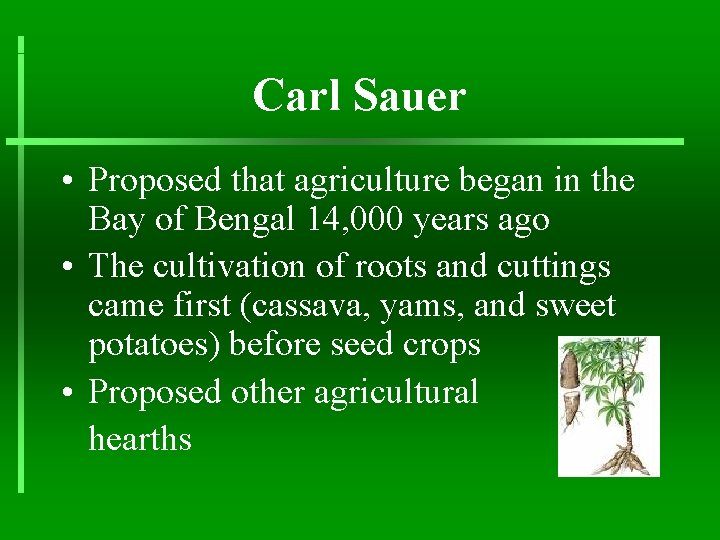Carl Sauer • Proposed that agriculture began in the Bay of Bengal 14, 000