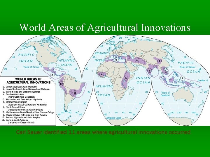 World Areas of Agricultural Innovations Carl Sauer identified 11 areas where agricultural innovations occurred.