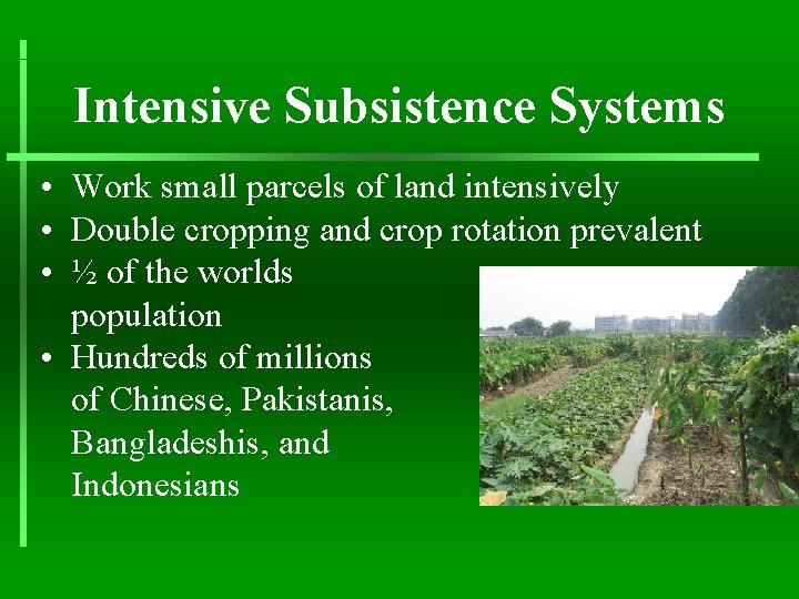 Intensive Subsistence Systems • Work small parcels of land intensively • Double cropping and