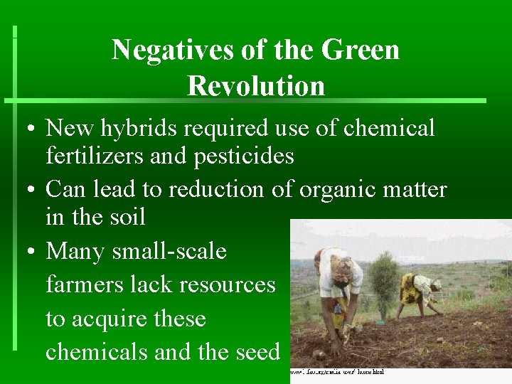 Negatives of the Green Revolution • New hybrids required use of chemical fertilizers and
