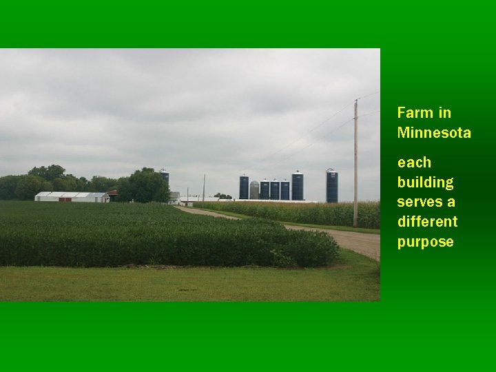 Farm in Minnesota each building serves a different purpose 
