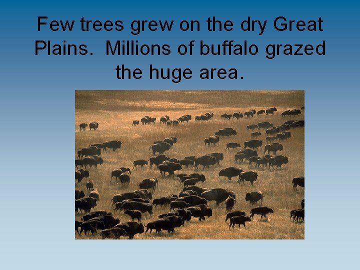 Few trees grew on the dry Great Plains. Millions of buffalo grazed the huge