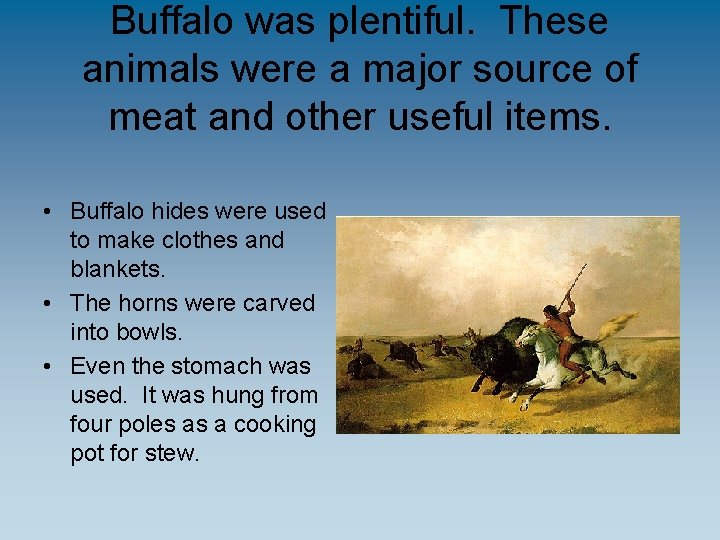 Buffalo was plentiful. These animals were a major source of meat and other useful