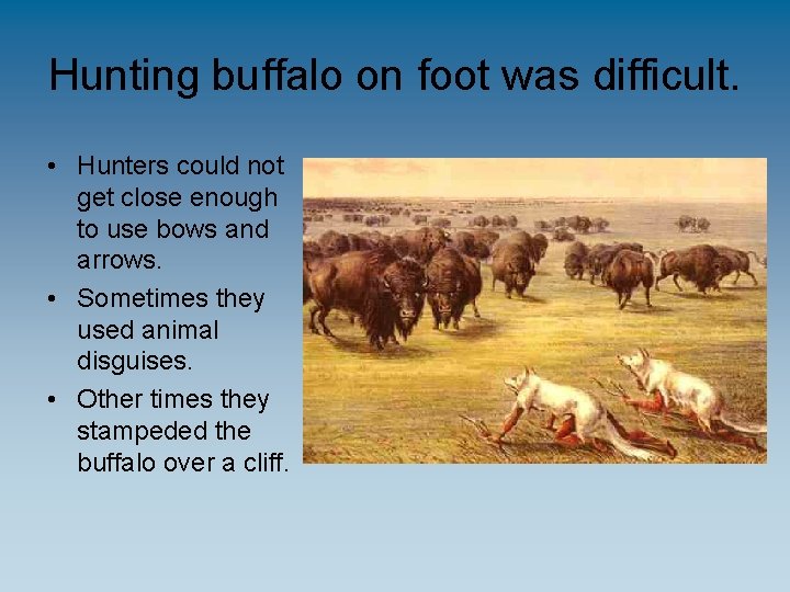 Hunting buffalo on foot was difficult. • Hunters could not get close enough to