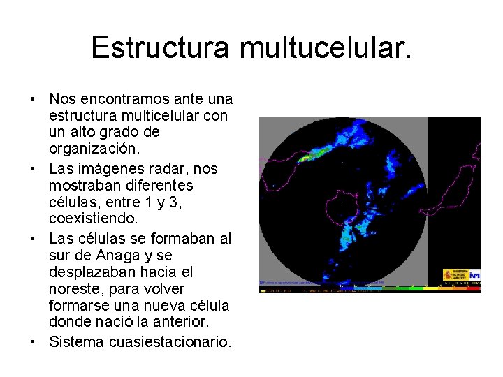 Estructura multucelular. • Nos encontramos ante una estructura multicelular con un alto grado de