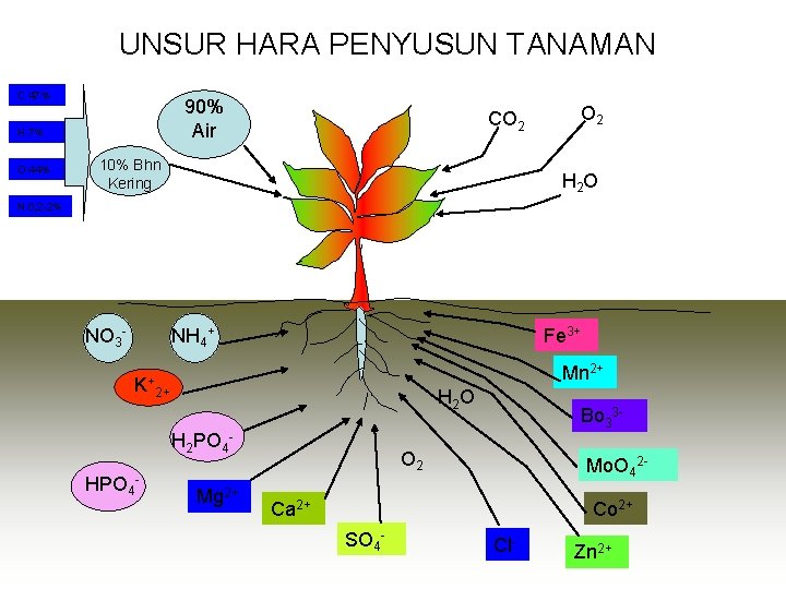 UNSUR HARA PENYUSUN TANAMAN C 47% 90% Air H 7% O 44% CO 2