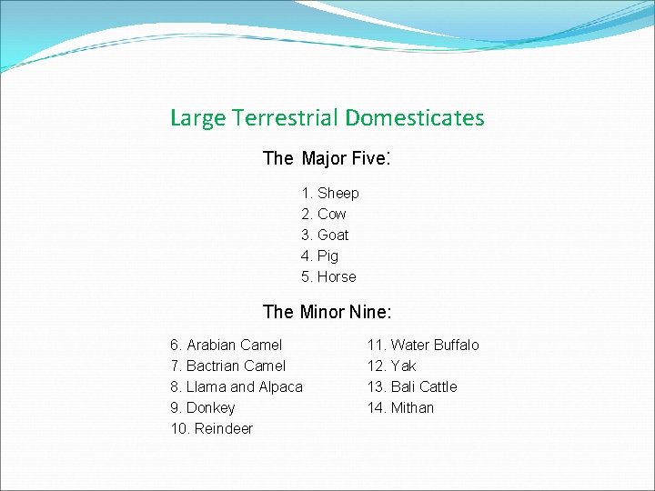 Large Terrestrial Domesticates The Major Five: 1. Sheep 2. Cow 3. Goat 4. Pig