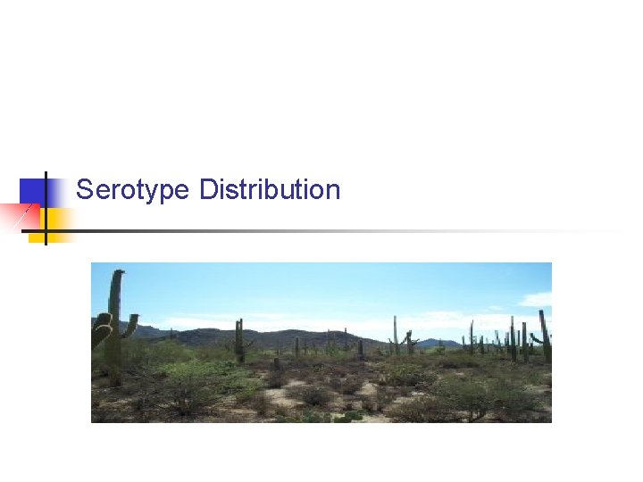 Serotype Distribution 