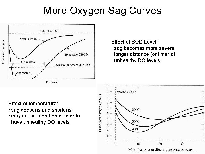 More Oxygen Sag Curves Effect of BOD Level: • sag becomes more severe •