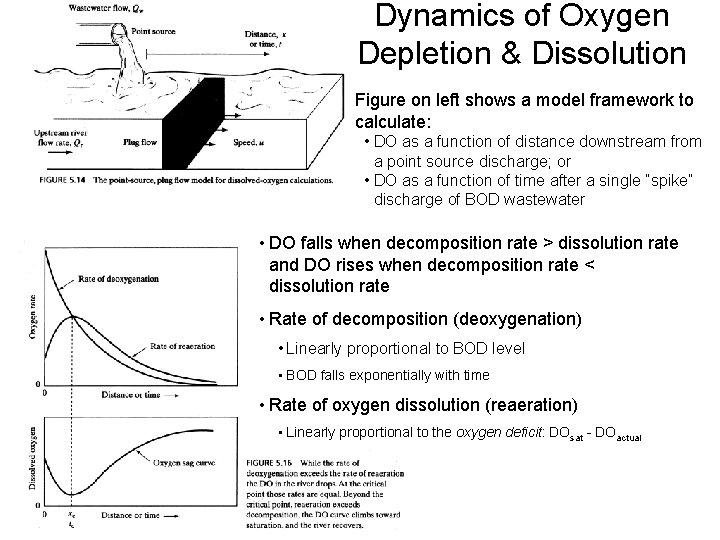 Dynamics of Oxygen Depletion & Dissolution Figure on left shows a model framework to